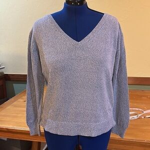 Everlane Blue 100% Cotton Sweater